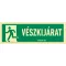 VÉSZKIJÁRAT (FELIRAT + PIKTOGRAM, ISO), Utánvilágító PVC, 300x100