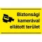 Sorozattábla, BIZTONSÁGI KAMERÁVAL MEGFIGYELT TERÜLET, PVC